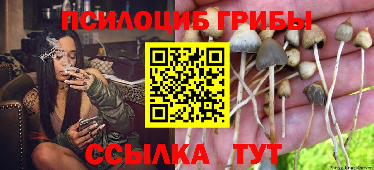 Галлюциногенные грибы Psilocybe  Вход с VPN  Псилоцибиновые грибы ЛСД  Зеленокумск 